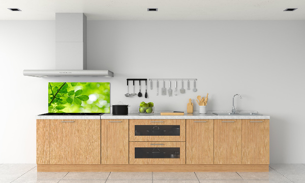 Glazen achterwand keuken Groene bladeren
