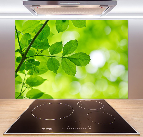 Glazen achterwand keuken Groene bladeren