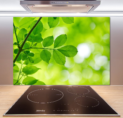 Glazen achterwand keuken Groene bladeren