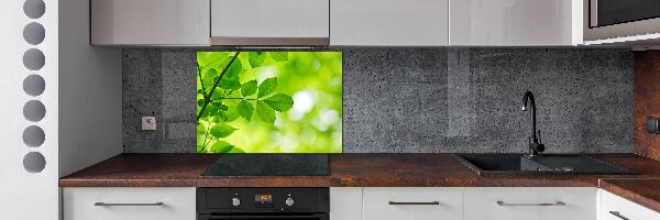 Glazen achterwand keuken Groene bladeren