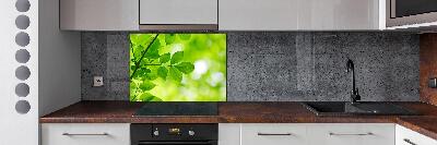 Glazen achterwand keuken Groene bladeren