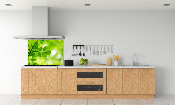 Glazen achterwand keuken Groene bladeren