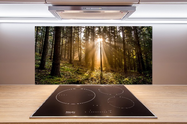 Panel do kuchni Światło słoneczne