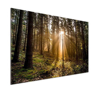 Achterwand keuken Zonlicht