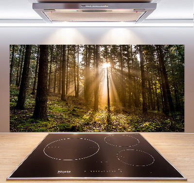 Achterwand keuken Zonlicht