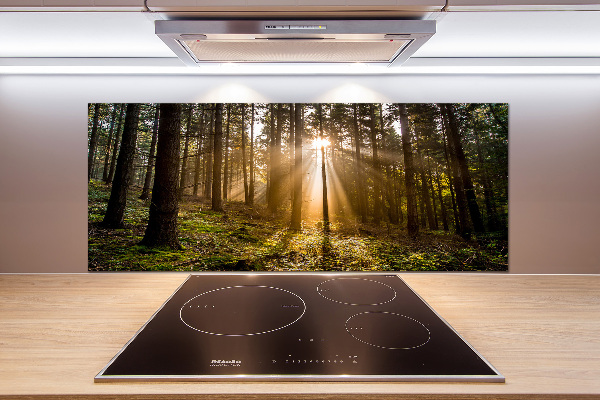Achterwand keuken Zonlicht