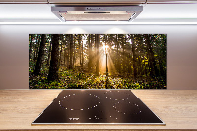 Achterwand keuken Zonlicht