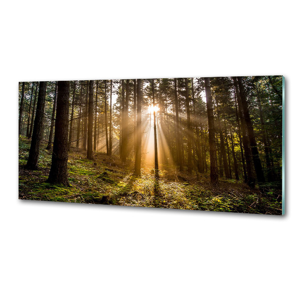 Achterwand keuken Zonlicht