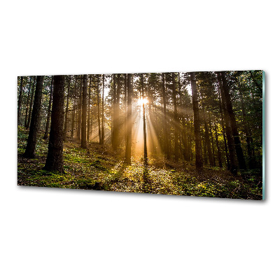 Achterwand keuken Zonlicht