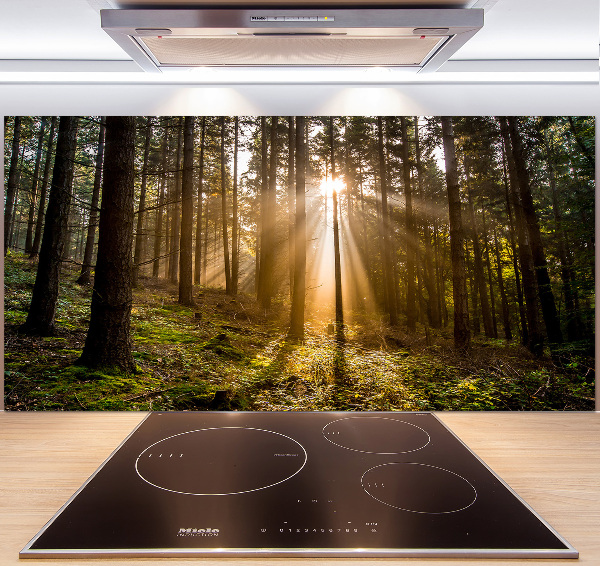 Achterwand keuken Zonlicht