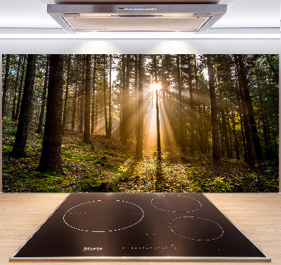 Achterwand keuken Zonlicht