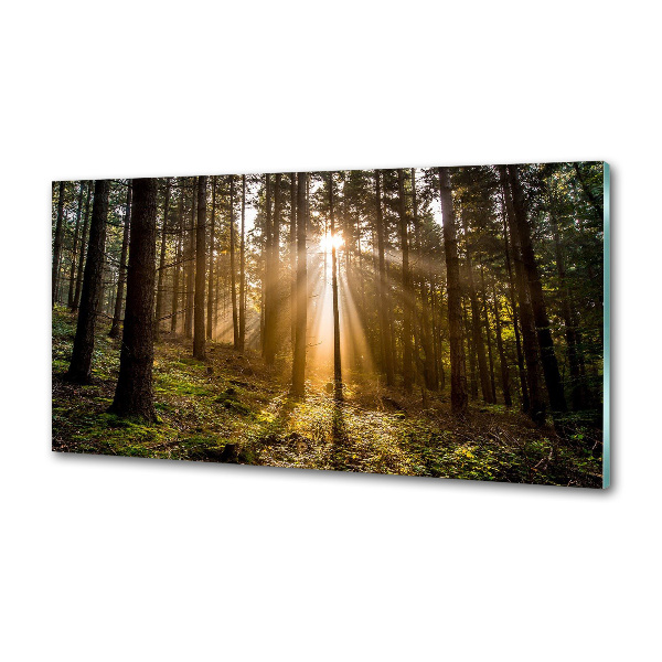 Achterwand keuken Zonlicht