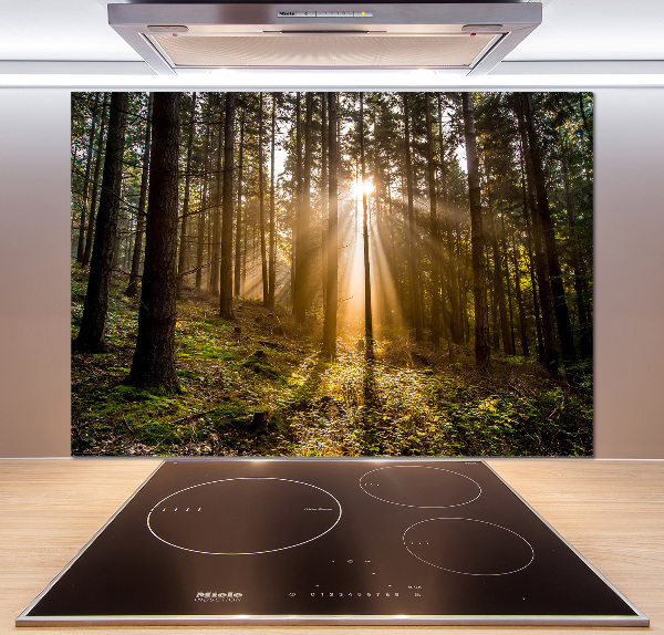 Achterwand keuken Zonlicht