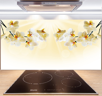Spatscherm keuken Orchidee
