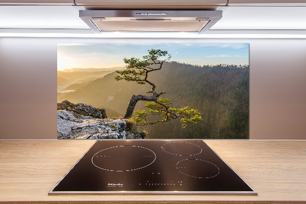 Panel do kuchni Sokolica Pieniny