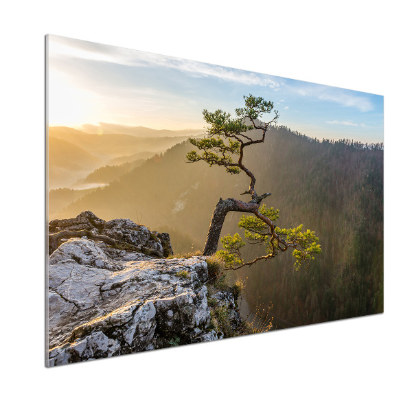 Panel do kuchni Sokolica Pieniny