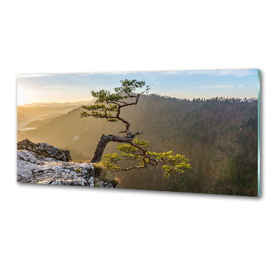 Panel do kuchni Sokolica Pieniny