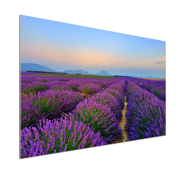 Keuken achterwand Lavendelveld