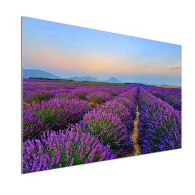 Keuken achterwand Lavendelveld