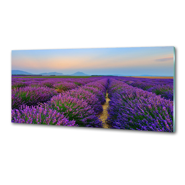 Keuken achterwand Lavendelveld