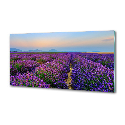 Keuken achterwand Lavendelveld