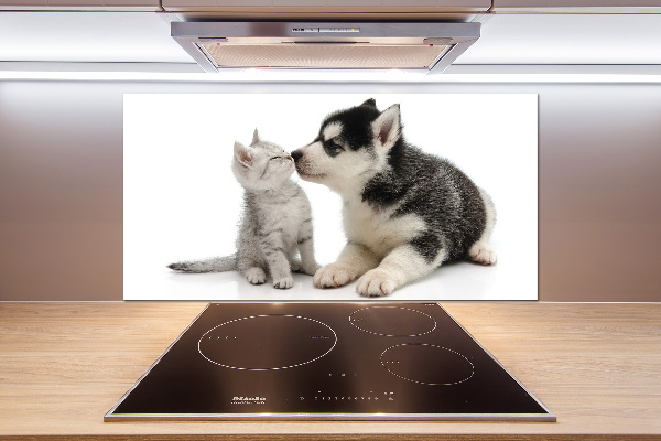 Glazen achterwand keuken Hond en kat
