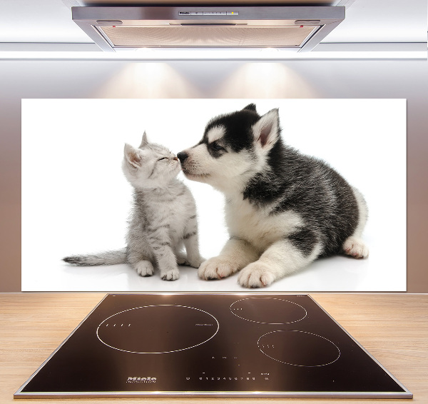 Glazen achterwand keuken Hond en kat