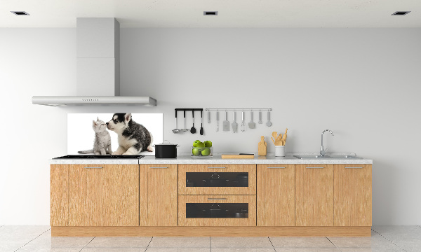 Glazen achterwand keuken Hond en kat