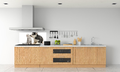 Glazen achterwand keuken Hond en kat