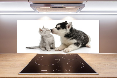 Glazen achterwand keuken Hond en kat