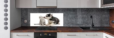 Glazen achterwand keuken Hond en kat