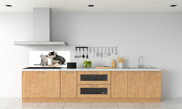 Glazen achterwand keuken Hond en kat