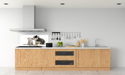 Glazen achterwand keuken Hond en kat