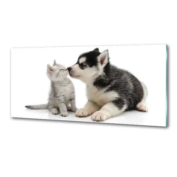 Glazen achterwand keuken Hond en kat