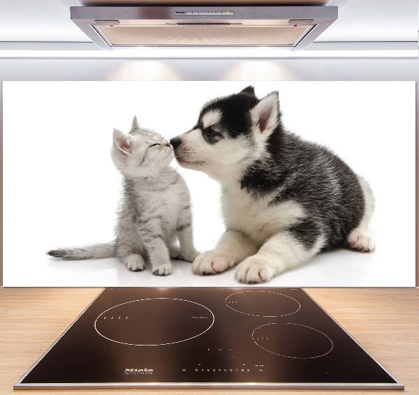 Glazen achterwand keuken Hond en kat