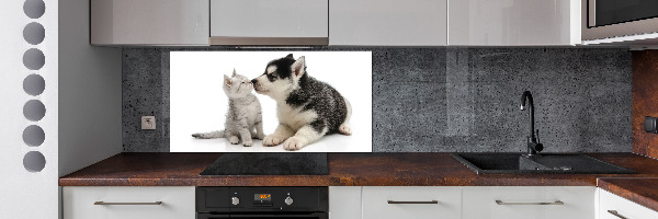 Glazen achterwand keuken Hond en kat