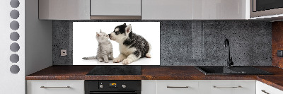 Glazen achterwand keuken Hond en kat