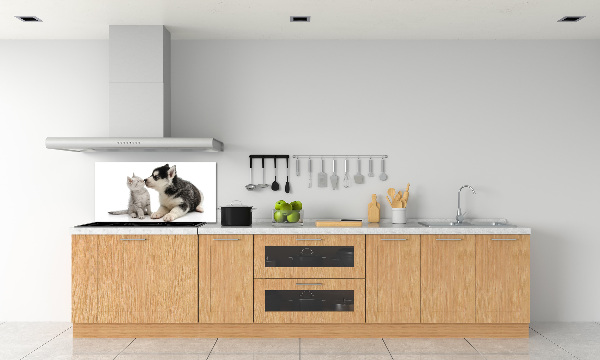 Glazen achterwand keuken Hond en kat