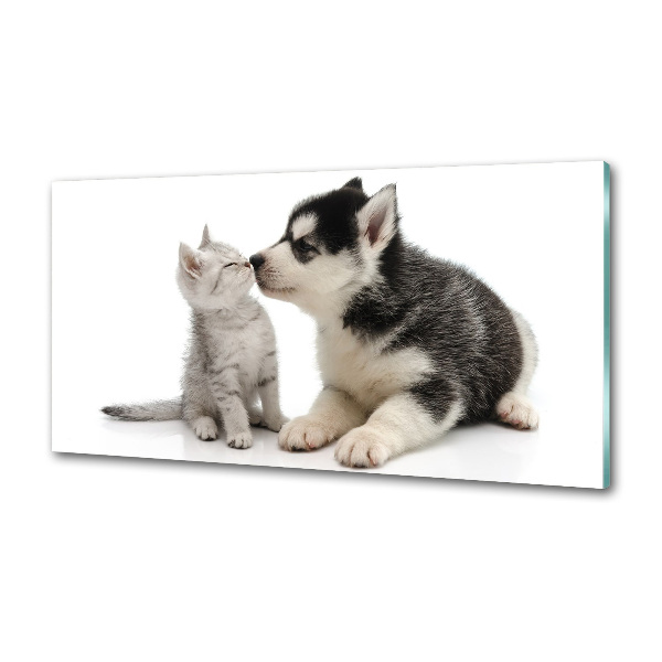 Glazen achterwand keuken Hond en kat