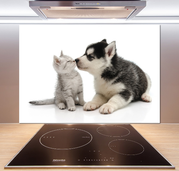 Glazen achterwand keuken Hond en kat