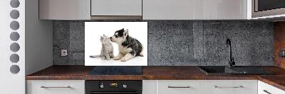 Glazen achterwand keuken Hond en kat