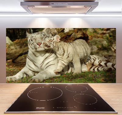 Achterwand keuken Tijgers
