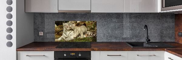 Achterwand keuken Tijgers