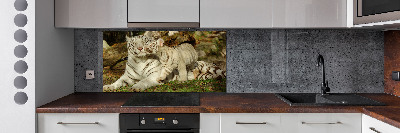 Achterwand keuken Tijgers