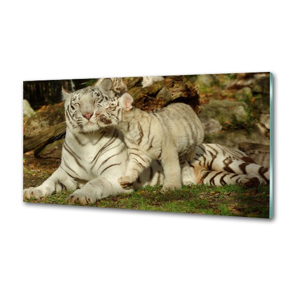 Panel szklany do kuchni Tygrysy