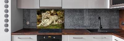 Achterwand keuken Tijgers