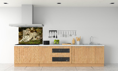 Achterwand keuken Tijgers