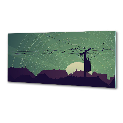 Keuken achterwand Vogelstad