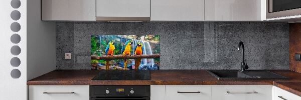 Spatscherm keuken Papegaaien op een tak