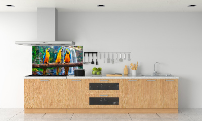Spatscherm keuken Papegaaien op een tak